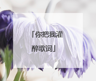 你把我灌醉歌词