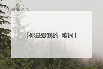 你是爱我的 歌词