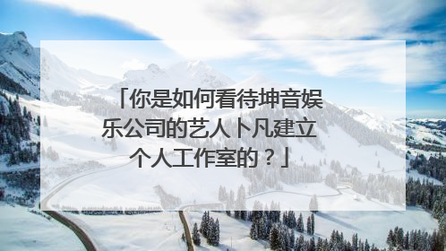 你是如何看待坤音娱乐公司的艺人卜凡建立个人工作室的？