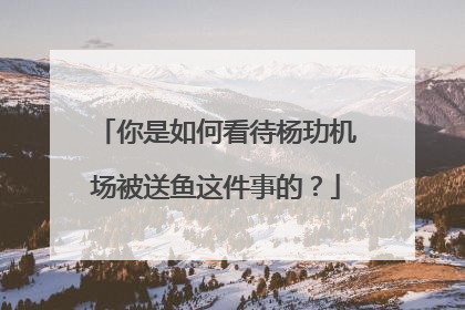 你是如何看待杨玏机场被送鱼这件事的?