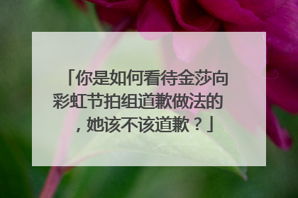 你是如何看待金莎向彩虹节拍组道歉做法的，她该不该道歉？