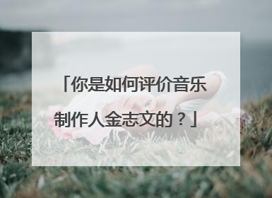 你是如何评价音乐制作人金志文的？