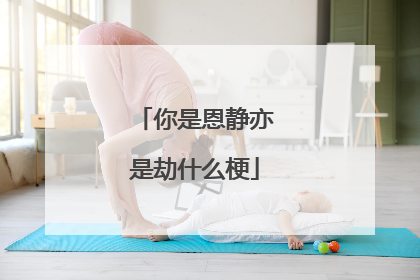 你是恩静亦是劫什么梗