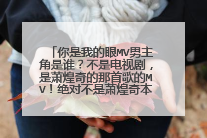 你是我的眼MV男主角是谁？不是电视剧，是萧煌奇的那首歌的MV！绝对不是萧煌奇本人，里面有两个男的