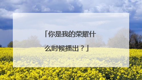 你是我的荣耀什么时候播出?