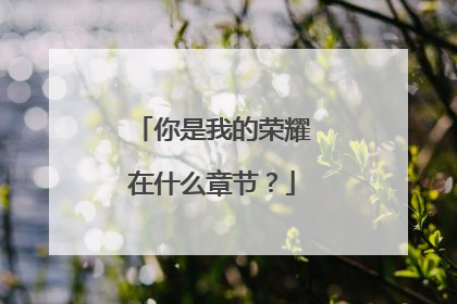 你是我的荣耀在什么章节？