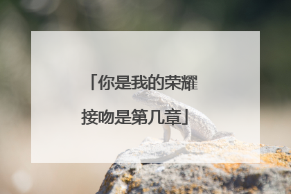 你是我的荣耀接吻是第几章