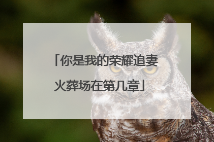 你是我的荣耀追妻火葬场在第几章