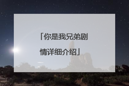 你是我兄弟剧情详细介绍