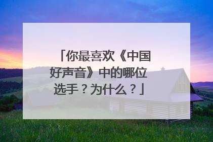 你最喜欢《中国好声音》中的哪位选手？为什么？