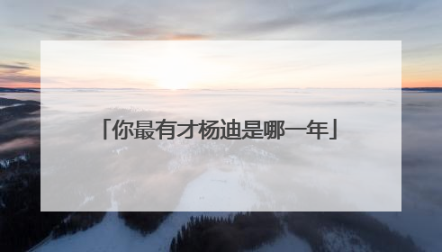 你最有才杨迪是哪一年