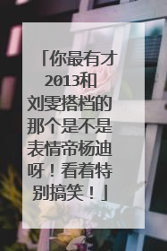 你最有才2013和刘雯搭档的那个是不是表情帝杨迪呀！看着特别搞笑！