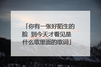 你有一张好陌生的脸 到今天才看见是什么歌里面的歌词