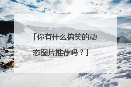 你有什么搞笑的动态图片推荐吗?