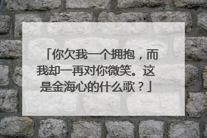 你欠我一个拥抱,而我却一再对你微笑。这是金海心的什么歌?