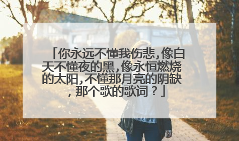 你永远不懂我伤悲,像白天不懂夜的黑,像永恒燃烧的太阳,不懂那月亮的阴缺，那个歌的歌词？