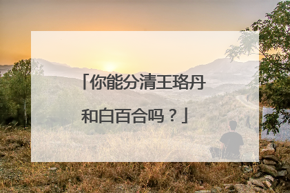 你能分清王珞丹和白百合吗?