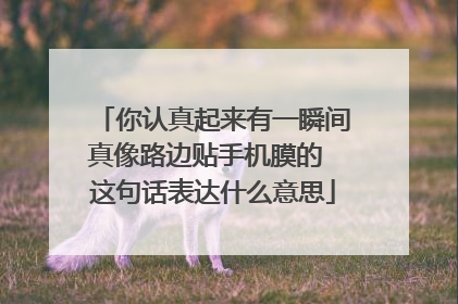 你认真起来有一瞬间真像路边贴手机膜的 这句话表达什么意思