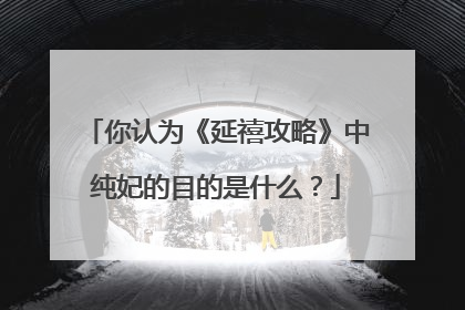 你认为《延禧攻略》中纯妃的目的是什么？