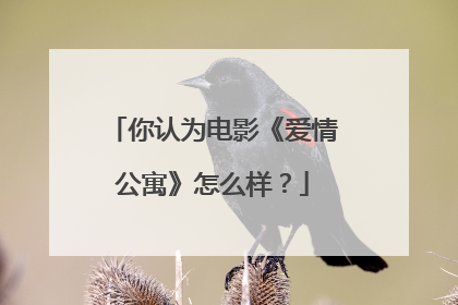 你认为电影《爱情公寓》怎么样？