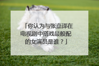 你认为与张嘉译在电视剧中搭戏最般配的女演员是谁?