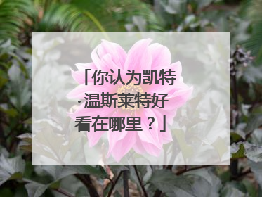 你认为凯特·温斯莱特好看在哪里？