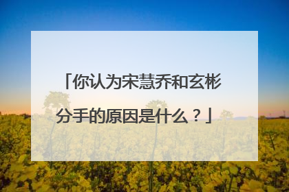 你认为宋慧乔和玄彬分手的原因是什么？