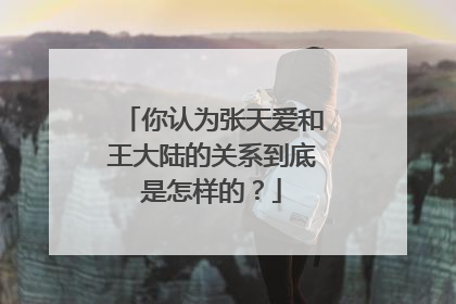 你认为张天爱和王大陆的关系到底是怎样的？