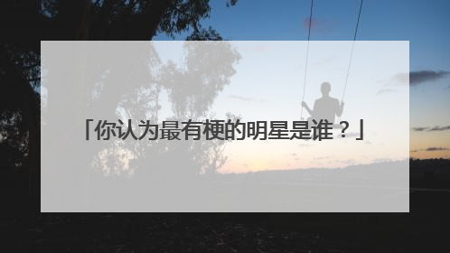 你认为最有梗的明星是谁?