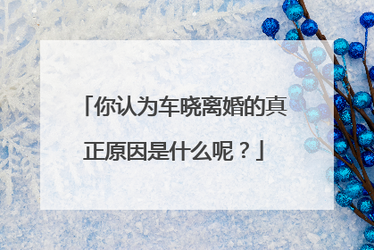 你认为车晓离婚的真正原因是什么呢？