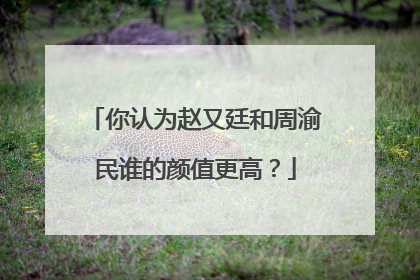 你认为赵又廷和周渝民谁的颜值更高?