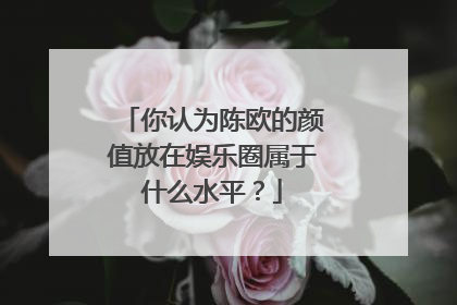 你认为陈欧的颜值放在娱乐圈属于什么水平？