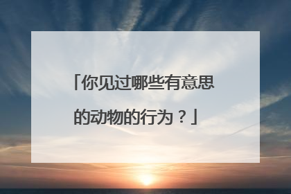 你见过哪些有意思的动物的行为?