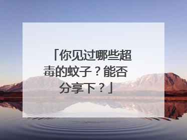 你见过哪些超毒的蚊子?能否分享下?