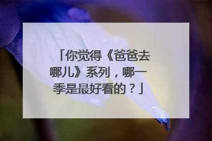 你觉得《爸爸去哪儿》系列，哪一季是最好看的？