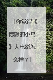 你觉得《愤怒的小鸟》大电影怎么样？
