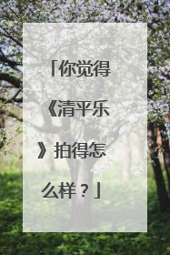 你觉得《清平乐》拍得怎么样？