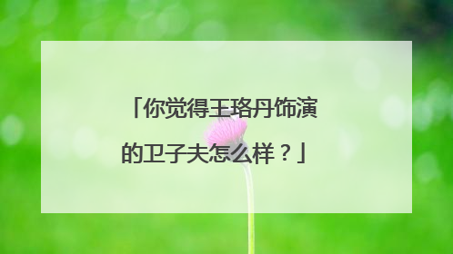 你觉得王珞丹饰演的卫子夫怎么样？