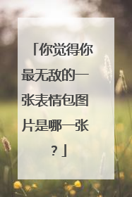 你觉得你最无敌的一张表情包图片是哪一张?