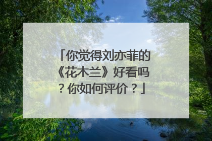 你觉得刘亦菲的《花木兰》好看吗?你如何评价?