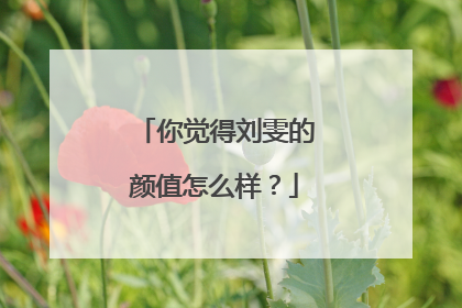 你觉得刘雯的颜值怎么样？