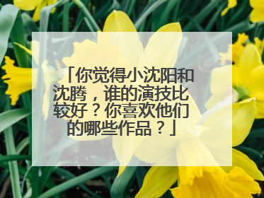 你觉得小沈阳和沈腾，谁的演技比较好？你喜欢他们的哪些作品？