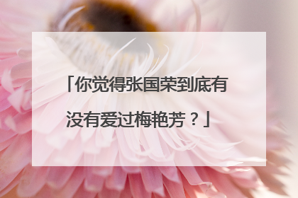 你觉得张国荣到底有没有爱过梅艳芳?