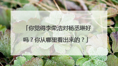 你觉得李荣浩对杨丞琳好吗？你从哪里看出来的？