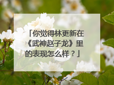 你觉得林更新在《武神赵子龙》里的表现怎么样？