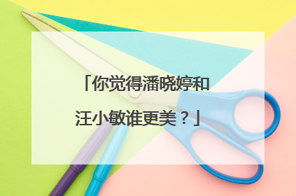 你觉得潘晓婷和汪小敏谁更美？