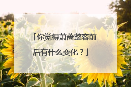 你觉得萧蔷整容前后有什么变化?