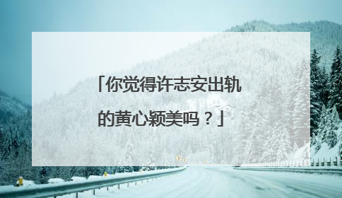 你觉得许志安出轨的黄心颖美吗？