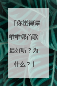 你觉得谭维维哪首歌最好听？为什么？