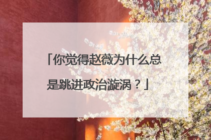 你觉得赵薇为什么总是跳进政治漩涡？
